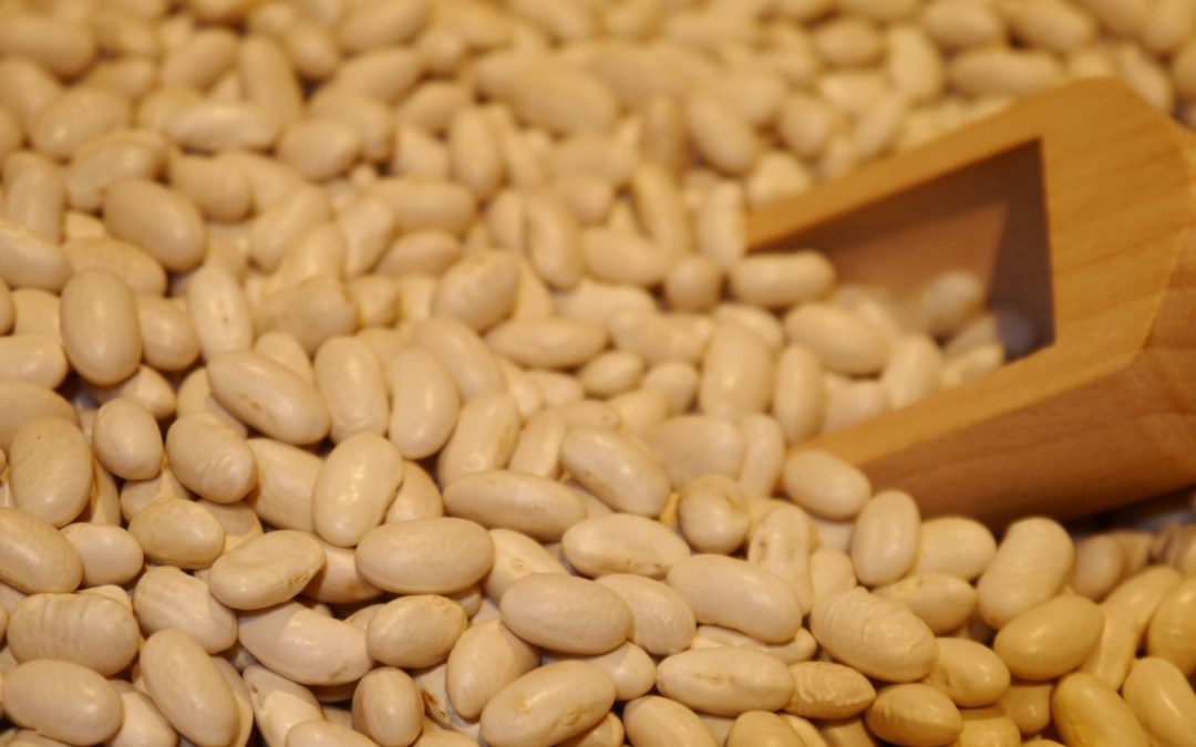 La tradicional receta de la Fabada Asturiana